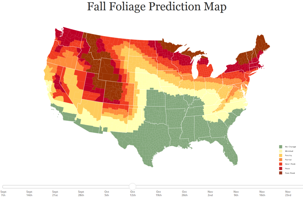 Lots of Fall Color Still to Be Found Across the U.S.